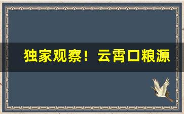 独家观察！云霄口粮源头“如愿以偿”