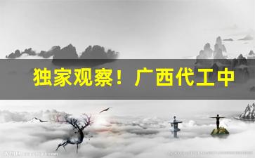 独家观察！广西代工中华烟“筹添海屋”