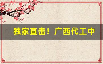 独家直击！广西代工中华烟口感怎么样“凡才浅识”