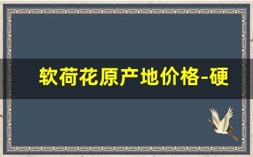 软荷花原产地价格-硬荷花出厂价