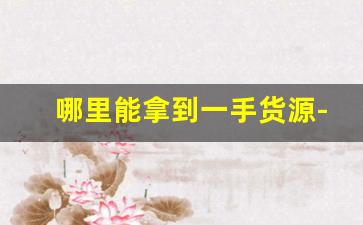 哪里能拿到一手货源-想拿一手货源去哪个网站