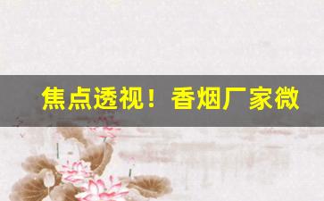 焦点透视！香烟厂家微商货源网“奋发踔厉”