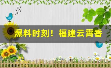 爆料时刻！福建云霄香烟官网是多少“炊金馔玉”