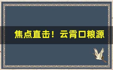 焦点直击！云霄口粮源头“低眉下意”