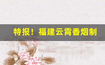 特报！福建云霄香烟制假到什么程度“风土人情”