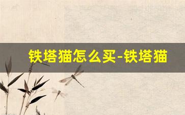 铁塔猫怎么买-铁塔猫从哪里进货的