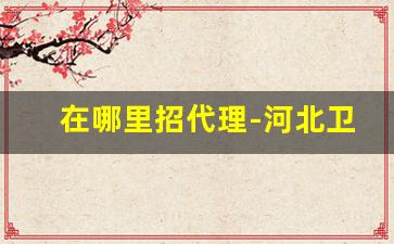 在哪里招代理-河北卫生纸厂家招商代理产品