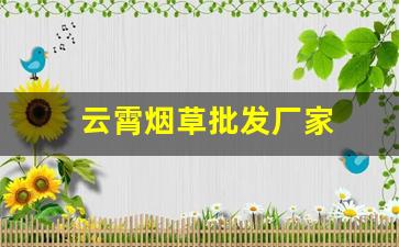 云霄烟草批发厂家