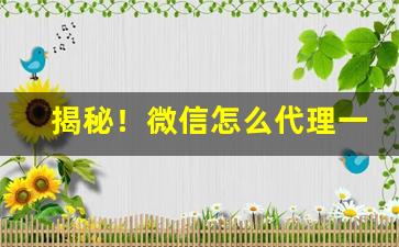 揭秘！微信怎么代理一手货源“放下屠刀”