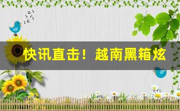 快讯直击！越南黑箱炫赫门微信号“豆萁相煎”