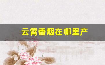 云霄香烟在哪里产
