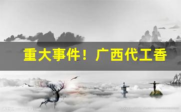 重大事件！广西代工香烟大量批发“儿女亲家”