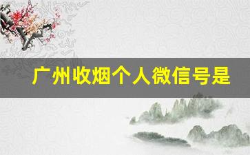 广州收烟个人微信号是多少