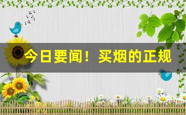 今日要闻！买烟的正规网站“初来乍到”