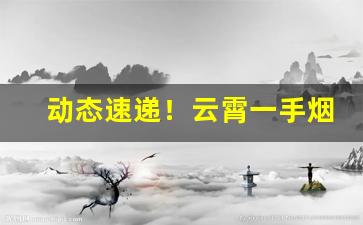 动态速递！云霄一手烟“鼎食鸣钟”