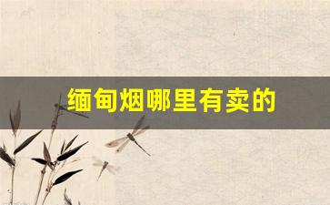 缅甸烟哪里有卖的