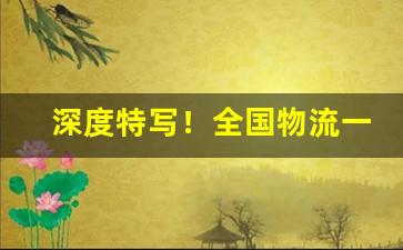 深度特写！全国物流一手货源批发“斗筲之才”