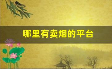 哪里有卖烟的平台