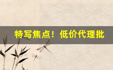 特写焦点！低价代理批发一手货源“耳听为虚”