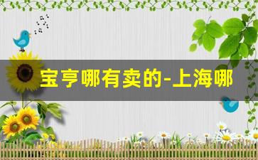宝亨哪有卖的-上海哪里能买到宝亨