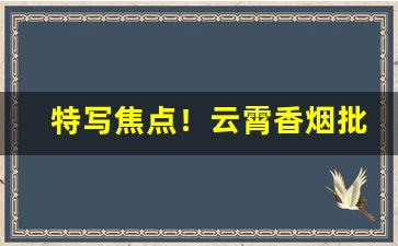 特写焦点！云霄香烟批发价目表。“不值一钱”