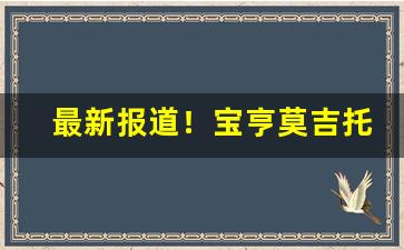 最新报道！宝亨莫吉托哪里能买到“谠论危言”