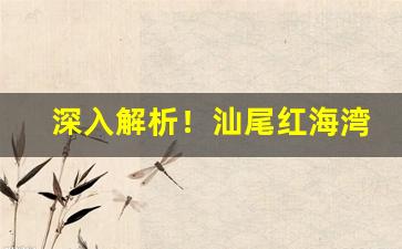 深入解析！汕尾红海湾香烟“待答不理”