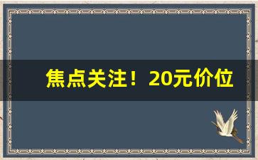 焦点关注！20元价位香烟销量排行“兵多将广”