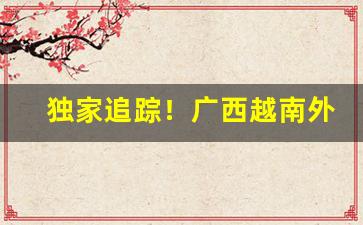 独家追踪！广西越南外烟一手“安分守常”