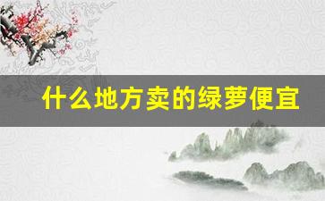 什么地方卖的绿萝便宜-卖绿萝的批发市场在哪里呀