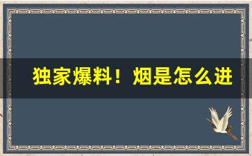 独家爆料！烟是怎么进货的“殚精竭虑”