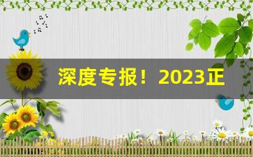 深度专报！2023正品外烟代购网“撑门面”