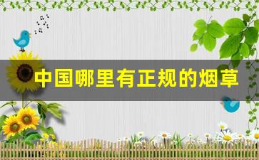 中国哪里有正规的烟草公司-中国各省是否都有自己的烟草公司