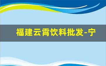 福建云霄饮料批发-宁化县食品饮料批发