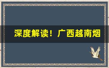 深度解读！广西越南烟一手批发东兴“揣时度力”