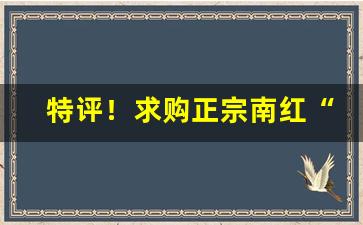 特评！求购正宗南红“出处语默”