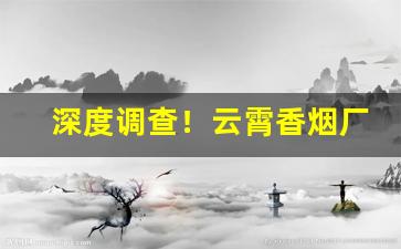 深度调查！云霄香烟厂家最新货源招代理“功名富贵”